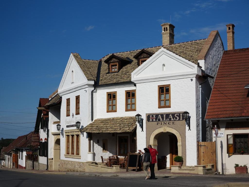 Halasi Pince Panzio Villány Buitenkant foto